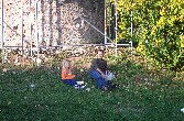 Drachenfest 2005